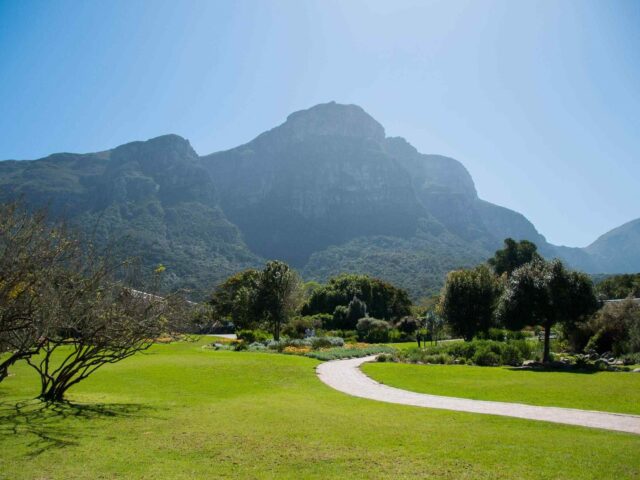 https://targettravelsqatar.com/wp-content/uploads/2018/08/post_capetown_04-640x480.jpg