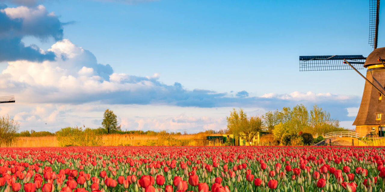 Essence of Holland & Belgium