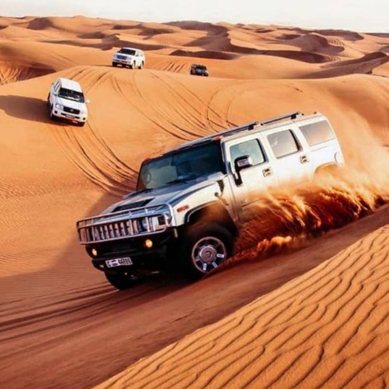 Inbound Desert Safari