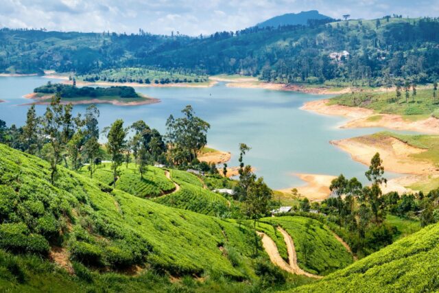 SriLankaa (1)