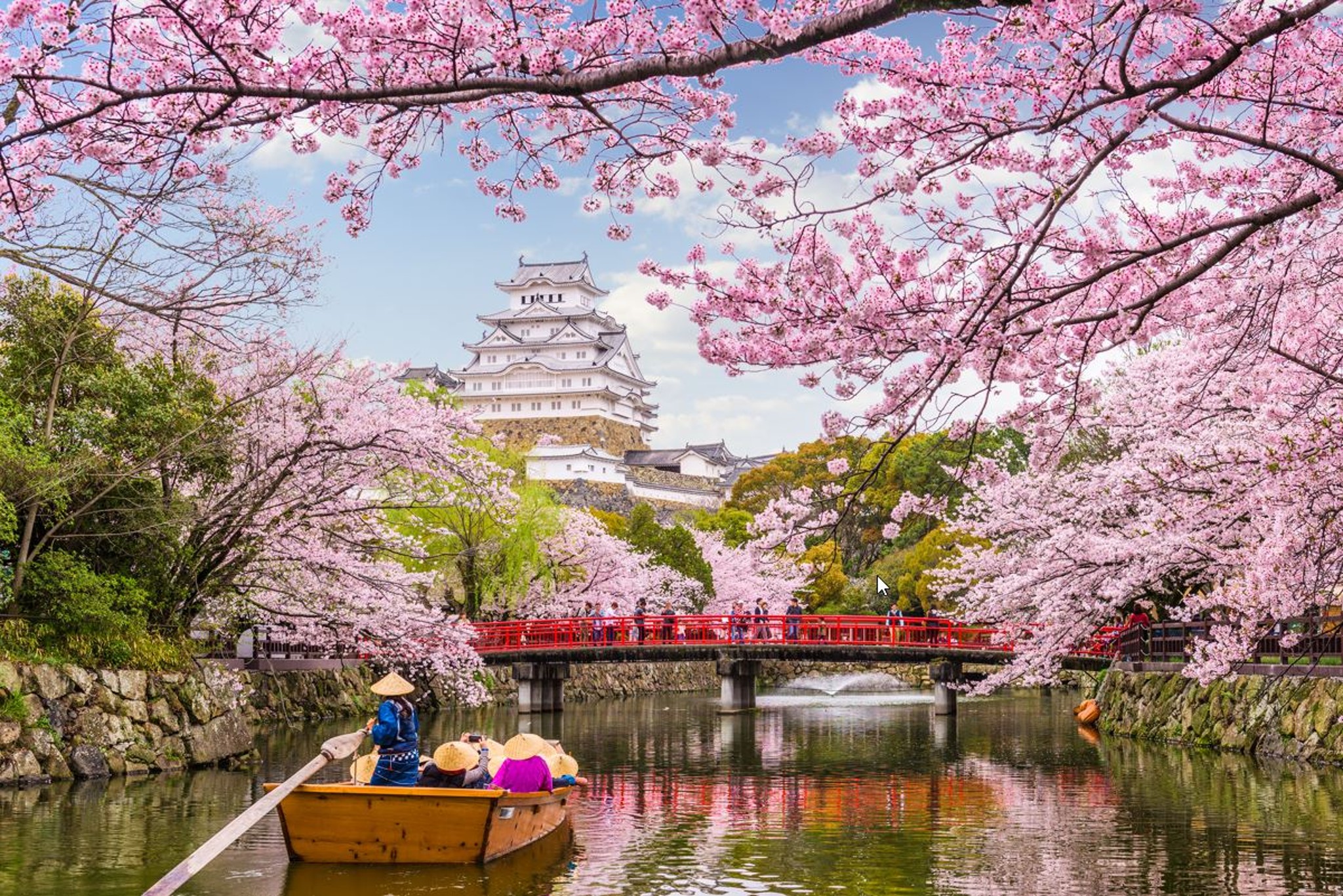 Japan Visa Target Travel Qatar