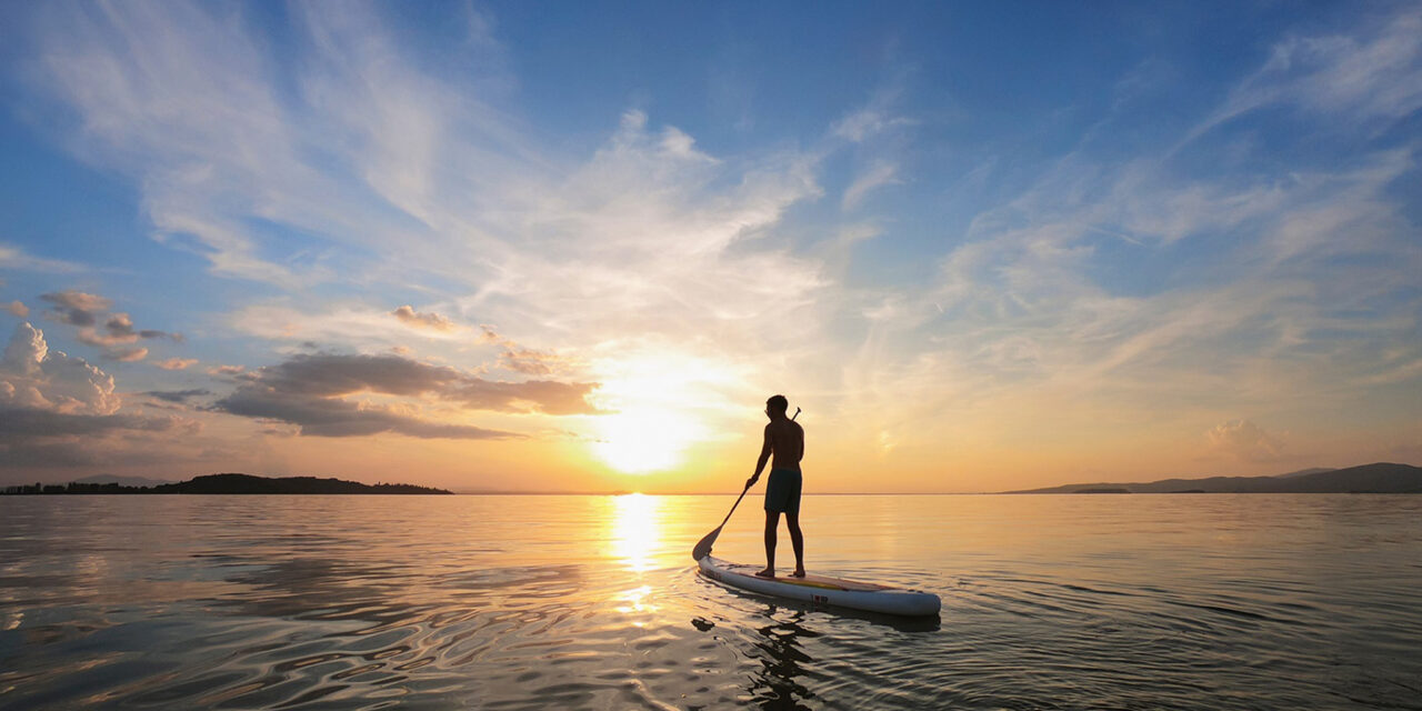 Mangroves Kayaking /Stand Up Paddling (Shared)