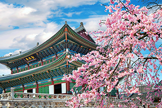https://targettravelsqatar.com/wp-content/uploads/2025/06/South-Korea.png