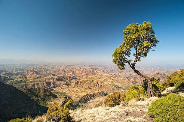 https://targettravelsqatar.com/wp-content/uploads/2026/08/imgi_84_a-large-and-wide-mountain-range-in-ethiopia.jpg